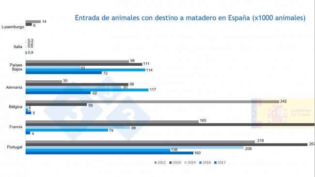 Figura 3. Entrada de animales con destino matadero en Espa&ntilde;a de 2017 a 2021. Fuente MAPA.
