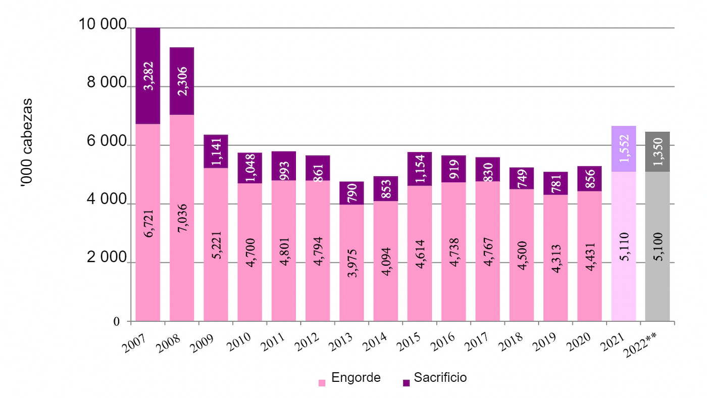 <p>Exportaciones canadienses de cerdos no reproductores a Estados Unidos. **Previsi&oacute;n. Fuente: USDA via Trade Data Monitor, LLC/FAS/Ottawa.</p>
