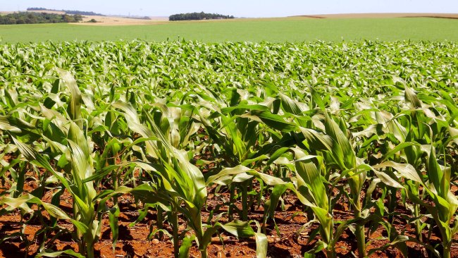 Fonte: Jaelson Lucas / AEN