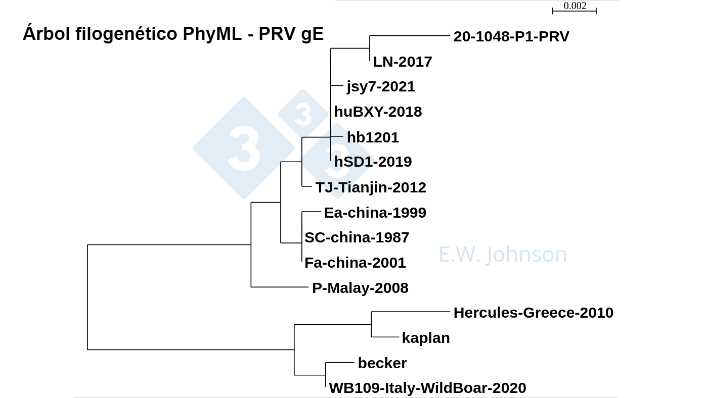 <p>Imagen 5. &Aacute;rbol filogen&eacute;tico PhyML - PRV gE que muestra cepas de tipo1 (similar a kaplan/becker), cepas &quot;cl&aacute;sicas&quot; de tipo&nbsp;2&nbsp;(similar a Fa/SC/Ea) y cepas de tipo 2 de mayor&nbsp;virulencia&nbsp;(similar a TJ/hb1201). Casos recientes de PRV, este&nbsp;caso&nbsp;[20-1048]&nbsp;y la encefalitis&nbsp;humana PRV hSD1-2019 se agrupan con&nbsp;TJ/hb1201.</p>
