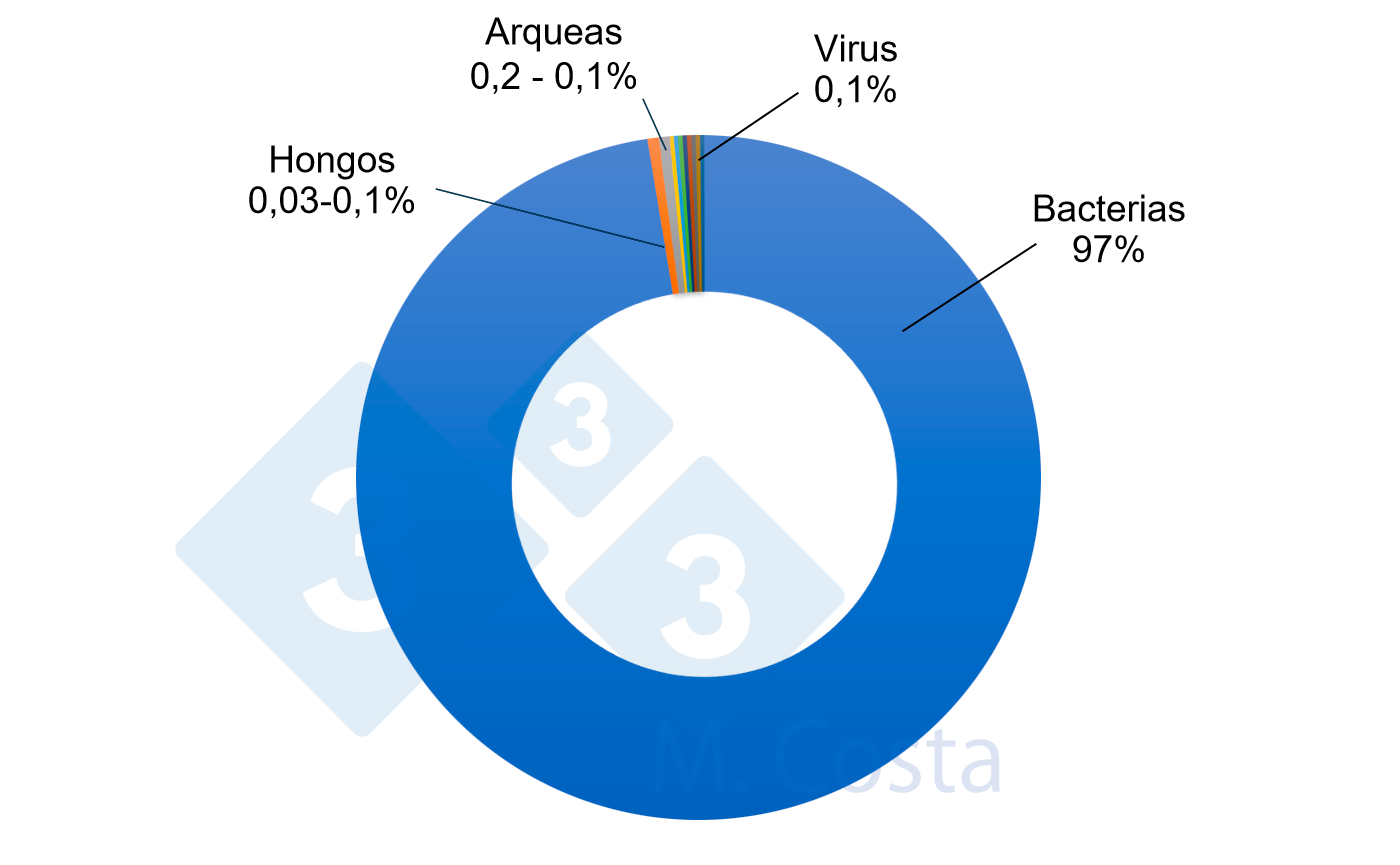 Figura 1 - Proporci&oacute;n relativa estimada de los diferentes microorganismos en el microbioma del intestino porcino. Aunque las bacterias representan la gran mayor&iacute;a de los microbios del intestino porcino, otros microorganismos desempe&ntilde;an un papel importante en la compleja red que constituye la interacci&oacute;n entre el intestino y la microbiota.
