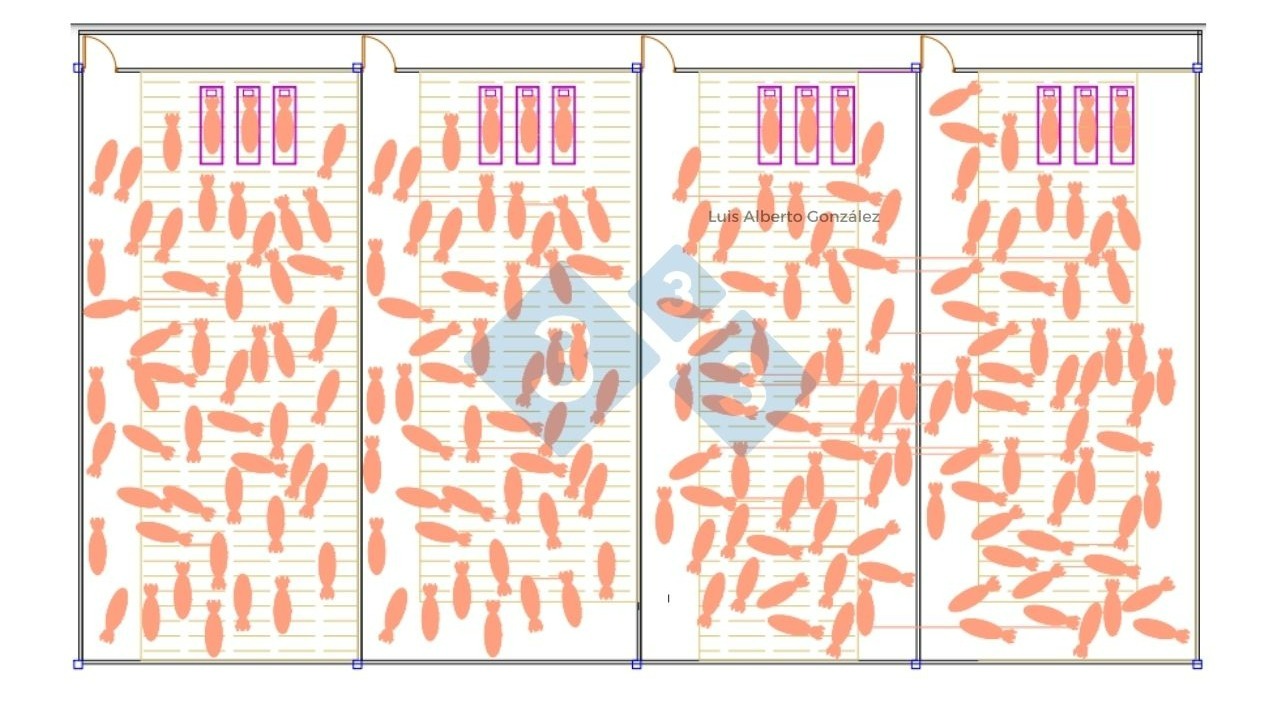 Plano de gestación con diferentes tipos de pisos 