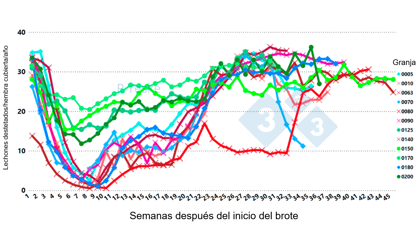 <p>Figura 2. Cambios en los lechones destetados/cerda cubierta/a&ntilde;o&nbsp;a lo largo del tiempo tras el brote de PRRSv (variante 1-4-4 L1C en 12 granjas diferentes, demostrando que la ca&iacute;da de la productividad tarda hasta 30 semanas en recuperarse).</p>
