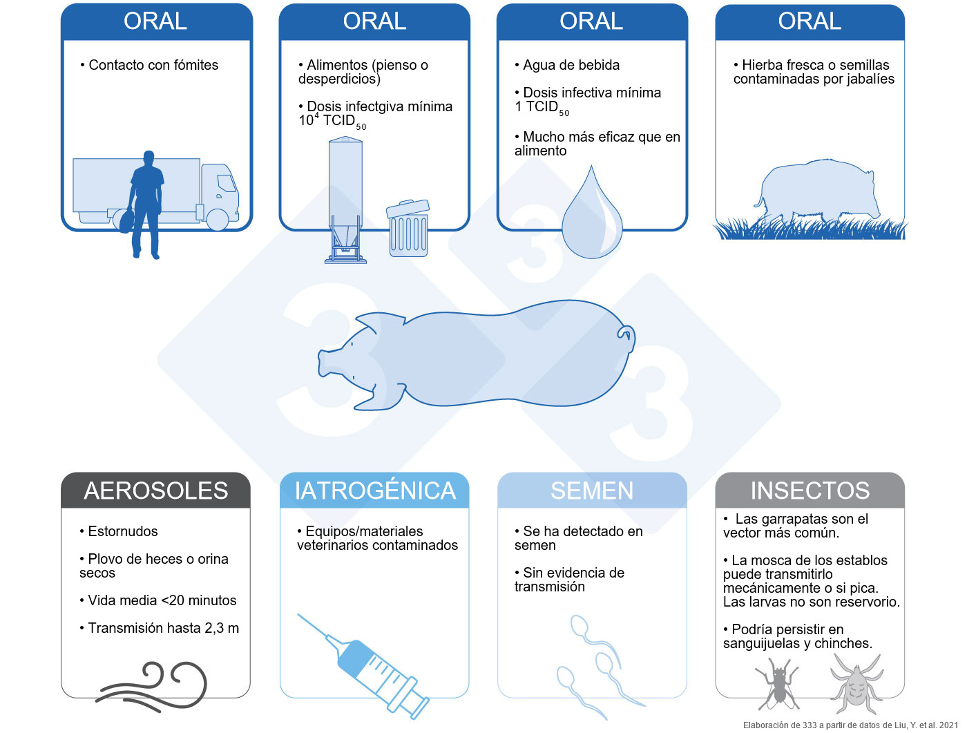 Vías de transmisión de la PPA