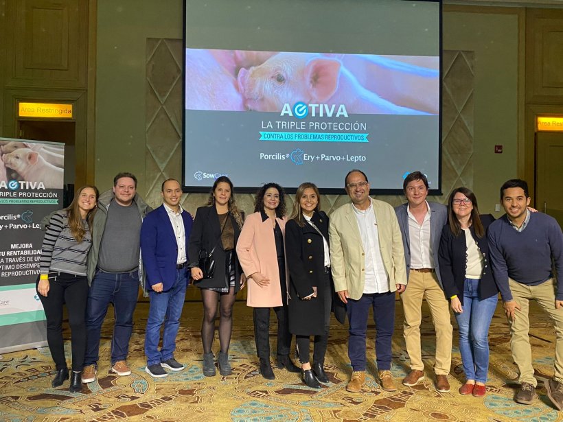 Lanzamiento vacuna MSD