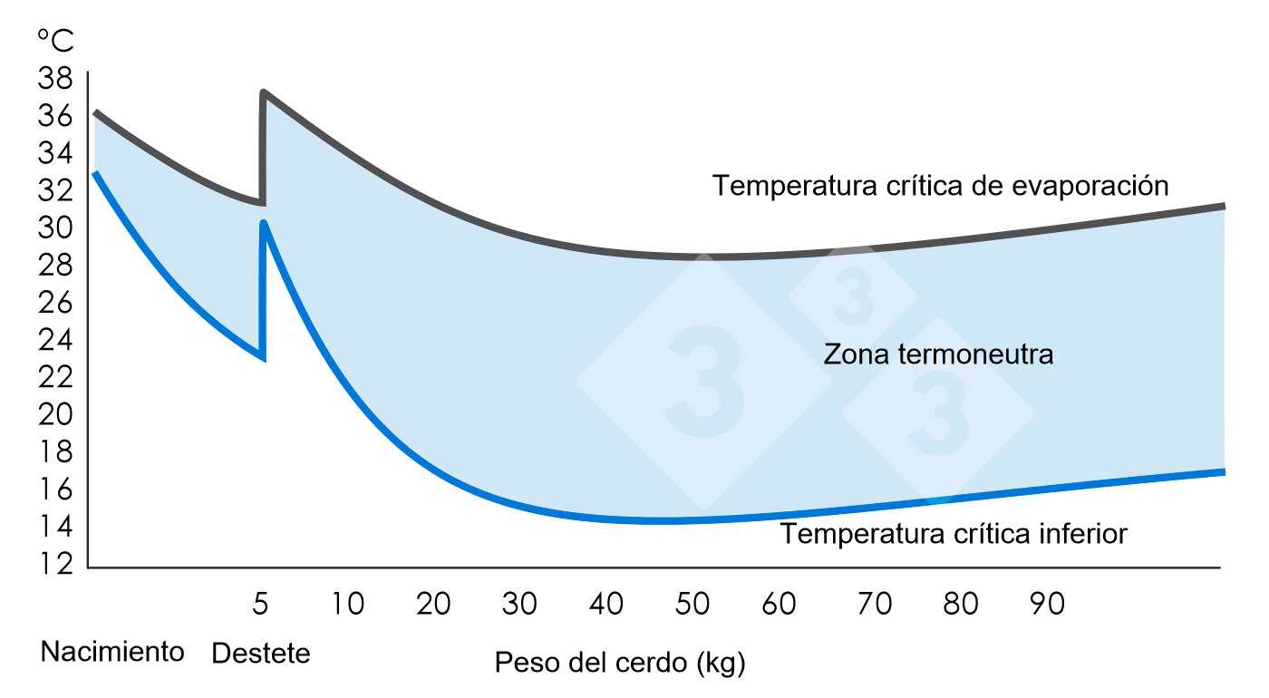 Gráfico 1. Zona de termoneutralidad o de confort térmico (donde el cerdo se siente confortable). Ministry of Agriculture, Fisheries and Food (1983). Pig Environment. Great Britain: MAFF. (Volume 2410).