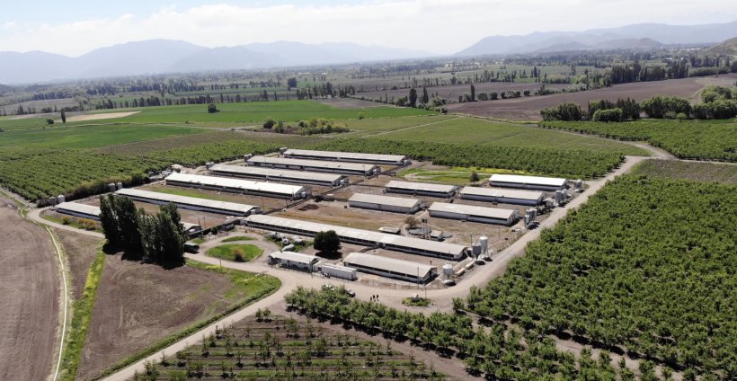 Coexca S.A. desarrollar&aacute; proyectos de granjas integradas en Chile, que consiste en la asociatividad con empresarios que desean instalar planteles para la crianza de cerdos. 
