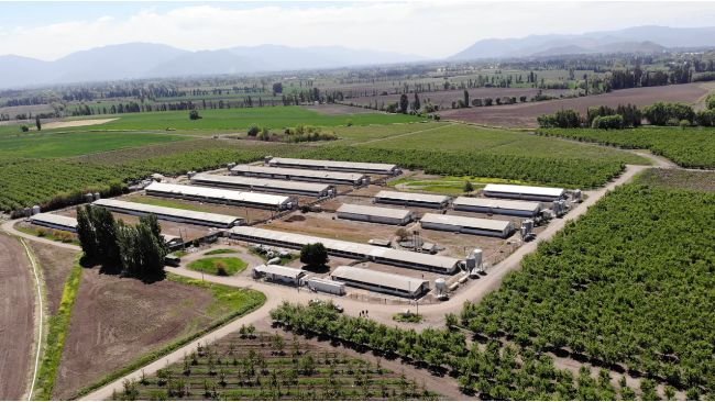 Coexca S.A. desarrollará proyectos de granjas integradas en Chile, que consiste en la asociatividad con empresarios que desean instalar planteles para la crianza de cerdos.