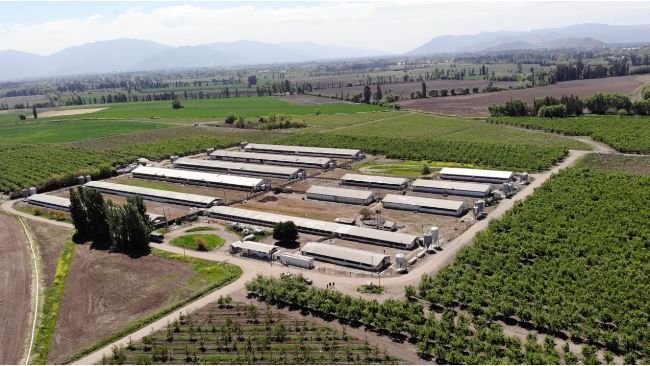 Coexca S.A. desarrollar&aacute; proyectos de granjas integradas en Chile, que consiste en la asociatividad con empresarios que desean instalar planteles para la crianza de cerdos. 
