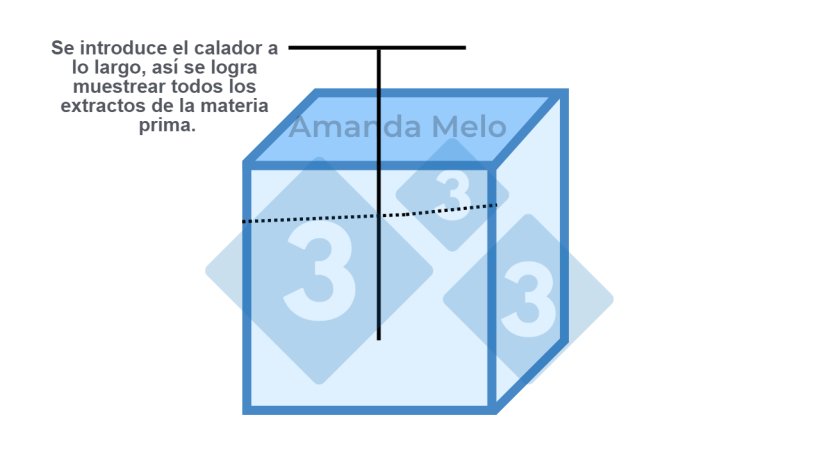 Figura 2: Esquema de puntos de muestreo en big bag con calador largo tipo sonda.
