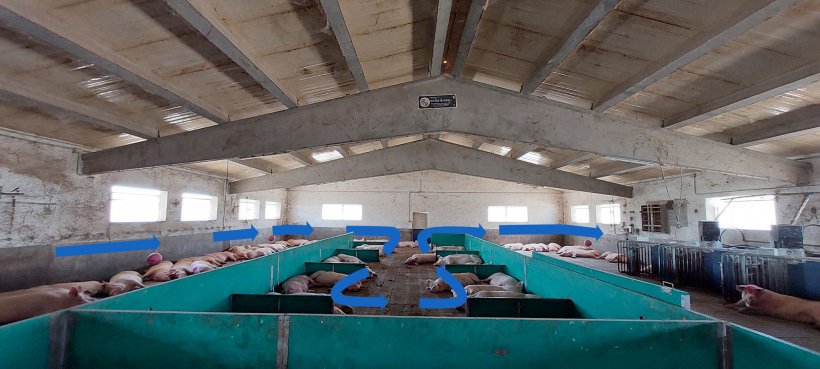 Foto 2. Paneles recortados para una f&aacute;cil revisi&oacute;n de los animales.
