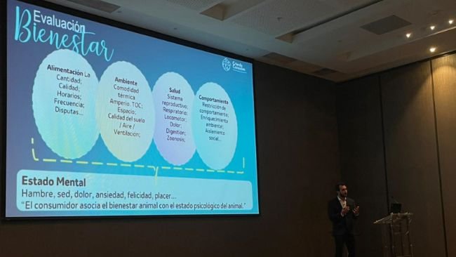 Filipe Dalla Costa, especialista en Bienestar Animal del Departamento de Estrategia e Innovación MSD