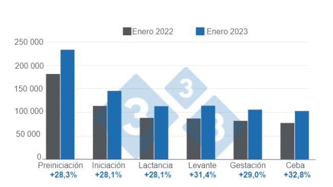 Gráfico 1: Variación de los precios del alimento para cerdos por etapa, enero 2023 versus enero 2022. Elaborado por el Departamento de Economía e Inteligencia de Mercados con datos del DANE 