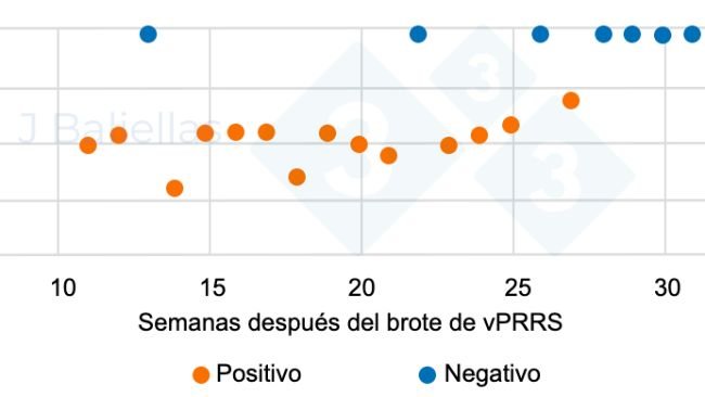 Figura 1. Evoluci&oacute;n de los valores Ct&nbsp;de la PCR en las semanas post brote de PRRS.
