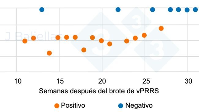 Figura 1. Evoluci&oacute;n de los valores Ct&nbsp;de la PCR en las semanas post brote de PRRS.
