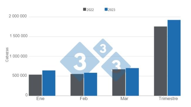 Gráfico 1. Faena de porcinos en el primer trimestre de 2023 versus 2022. Elaborado por el Departamento de Economía e Inteligencia de Mercados con datos de la Secretaría de Agricultura, Ganadería y Pesca  del Ministerio de Economía de Argentina. 