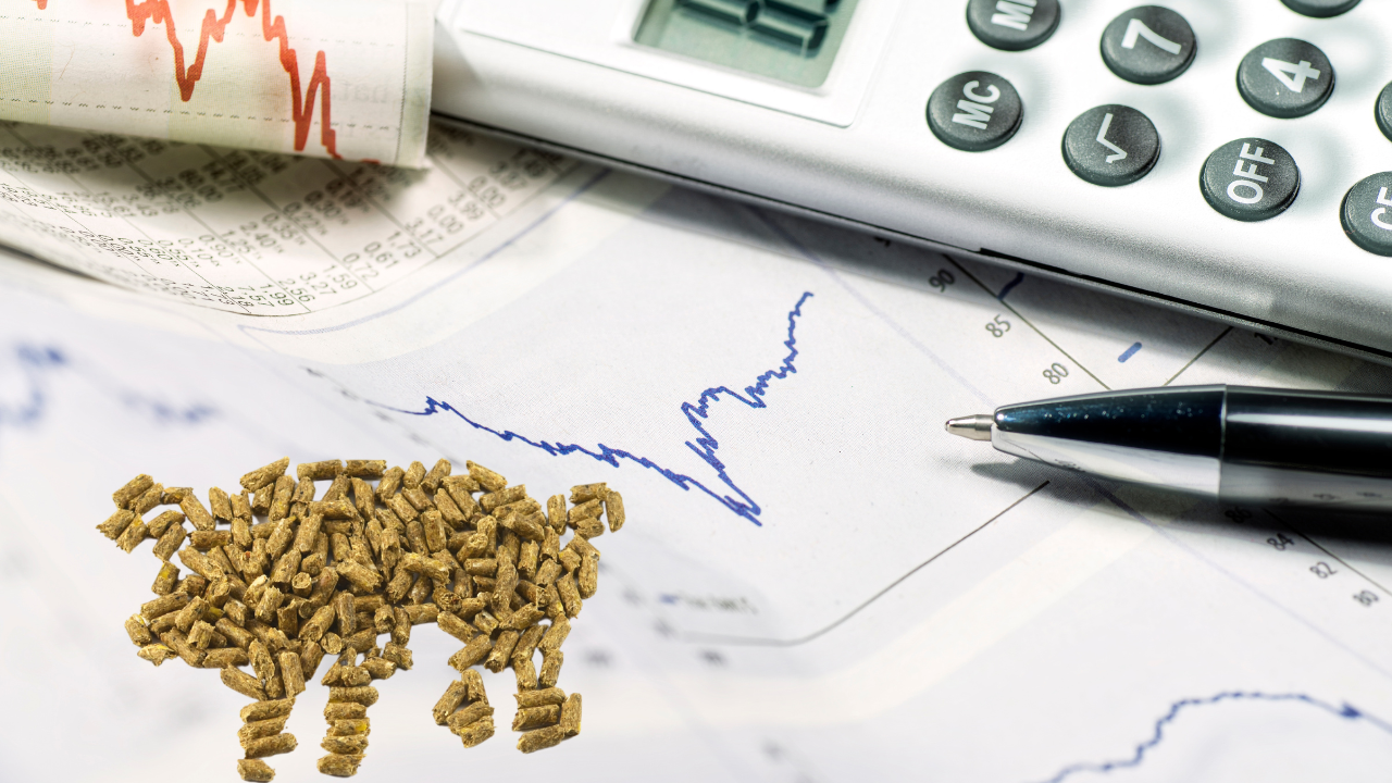 Conviviendo con la volatilidad de los precios de las materias primas -  Artículos - 3tres3 LATAM, la página del Cerdo