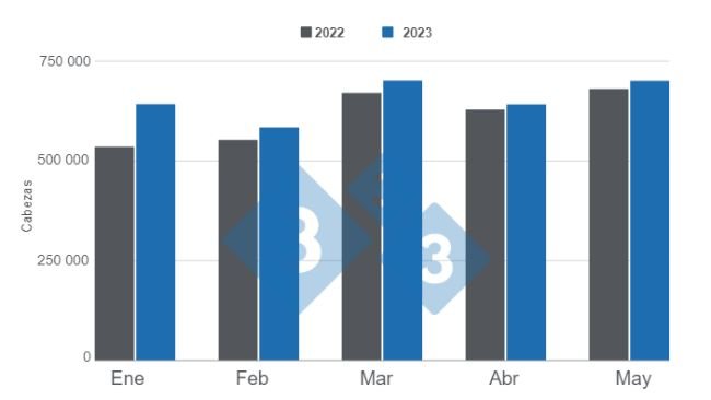 Gráfico 1. Faena mensual de porcinos en los primeros cinco meses del año. Elaborado por el Departamento de Economía e Inteligencia de Mercados con datos de la Secretaría de Agricultura, Ganadería y Pesca del Ministerio de Economía de Argentina. 