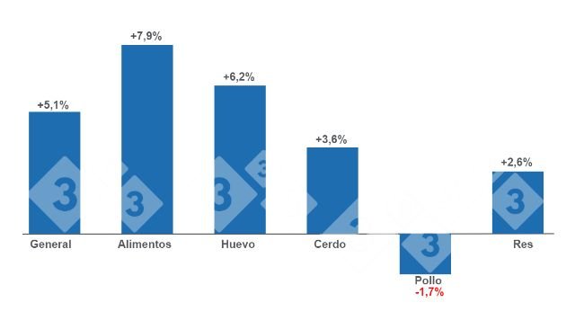 Gráfico 1: Variaciones anuales del INPC total, alimentos y principales proteínas de origen animal - junio de 2023. Elaborado por el Departamento de Economía e Inteligencia de Mercados con datos del Servicio de Información Agroalimentaria y Pesquera (SIAP).