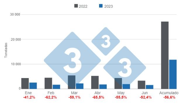Gráfico 1: Evolución de las importaciones mensuales de carne de cerdo en 2023. Elaborado por el Departamento de Economía e Inteligencia de Mercados de 333 Latinoamérica con datos de la Secretaría de Agricultura, Ganadería y Pesca del Ministerio de Economía de Argentina 