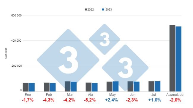 Gráfico 1. Beneficio mensual de porcinos en lo corrido de 2023. Elaborado por el Departamento de Economía e Inteligencia de Mercados de 333 Latinoamérica con datos de CAPORC y CNP.  