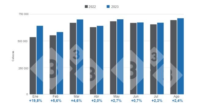 Gráfico 1. Faena mensual de porcinos en el período enero - agosto, variaciones respecto a 2022. Elaborado por el Departamento de Economía e Inteligencia de Mercados de 333 Latinoamérica con datos de la Secretaría de Agricultura, Ganadería y Pesca del Ministerio de Economía de Argentina. 