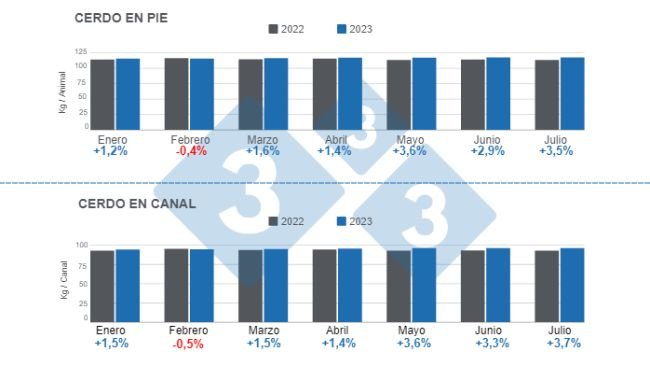 Gráfico 1. Peso promedio mensual de los cerdos en pie y en canal para el período enero – julio, variaciones anuales. Elaborado por el Departamento de Economía e Inteligencia de Mercados de 333 Latinoamérica con datos del DANE 