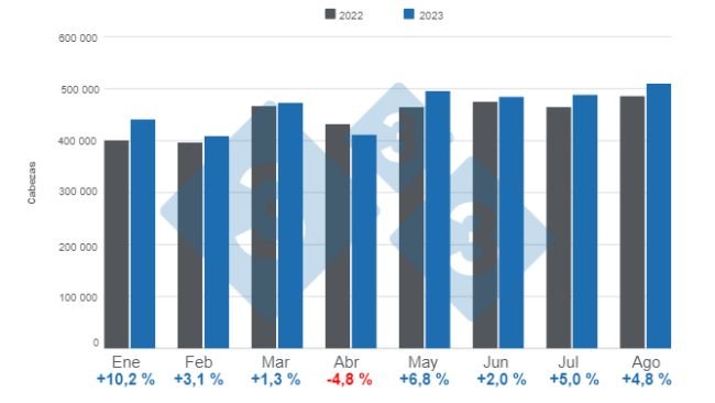Gráfico 1. Beneficio mensual de porcinos en el período enero – agosto, variaciones anuales. Elaborado por el Departamento de Economía e Inteligencia de Mercados de 333 Latinoamérica con datos del DANE. 