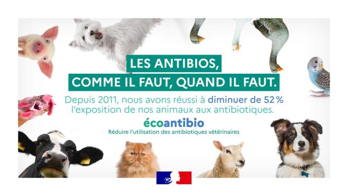 Lutte contre la résistance aux antibiotiques en France – Actualités