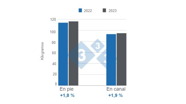 Gráfico 1. Peso promedio del cerdo en pie en y en canal para 2023, variaciones anuales. Elaborado por el Departamento de Economía e Inteligencia de Mercados de 333 Latinoamérica con datos del DANE. 