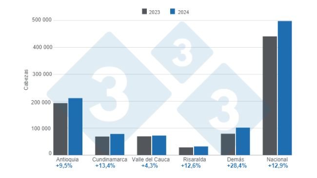 Gráfico 1. Beneficio de porcinos por departamento y total nacional - enero de 2024, variaciones anuales. Elaborado por el Departamento de Economía e Inteligencia de Mercados de 333 Latinoamérica con datos del DANE. 
