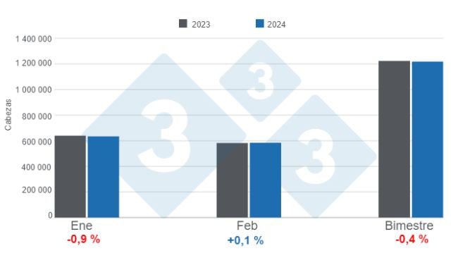 Gráfico 1. Faena mensual de porcinos en el primer bimestre de 2024, variaciones anuales. Elaborado por el Departamento de Economía e Inteligencia de Mercados de 333 Latinoamérica con datos de la Secretaría de Agricultura, Ganadería y Pesca del Ministerio de Economía de Argentina.