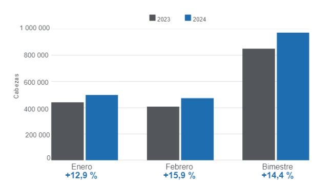 Gráfico 1. Beneficio mensual de porcinos en el primer bimestre de 2024, variaciones anuales. Elaborado por el Departamento de Economía e Inteligencia de Mercados de 333 Latinoamérica con datos del DANE 