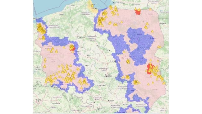 Map of ASF cases in wild boars in 2024.