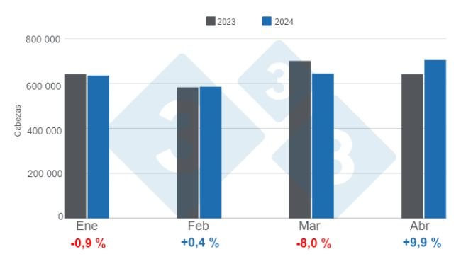 Gráfico 1. Faena mensual de porcinos en el período enero - abril de 2024, variaciones anuales. Elaborado por el Departamento de Economía e Inteligencia de Mercados de 333 Latinoamérica con datos de la Secretaría de Agricultura, Ganadería y Pesca del Ministerio de Economía de Argentina. 