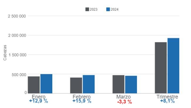 Gráfico 1. Beneficio mensual de porcinos en el trimestre de 2024, variaciones anuales. Elaborado por el Departamento de Economía e Inteligencia de Mercados de 333 Latinoamérica con datos del DANE. 