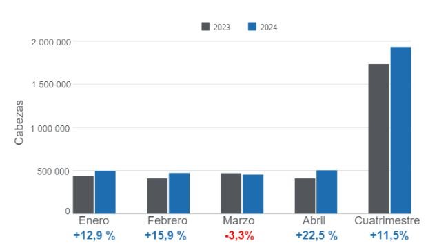 Gráfico 1. Beneficio mensual de porcinos en el primer cuatrimestre de 2024, variaciones anuales. Elaborado por el Departamento de Economía e Inteligencia de Mercados de 333 Latinoamérica con datos del DANE. 