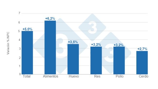 Gráfico 1. Variaciones porcentuales anuales del INPC total, alimentos y principales proteínas de origen animal - junio de 2024. Elaborado por el Departamento de Economía e Inteligencia de Mercados de 333 Latinoamérica con datos del Servicio de Información Agroalimentaria y Pesquera (SIAP).   
