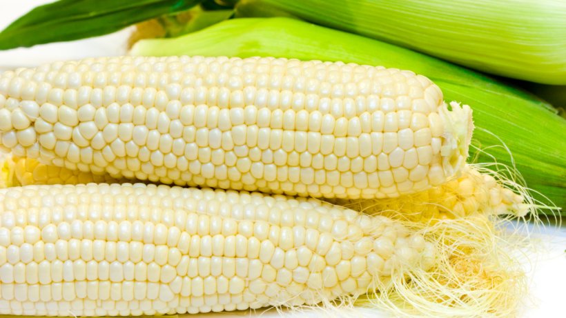 Maíz blanco