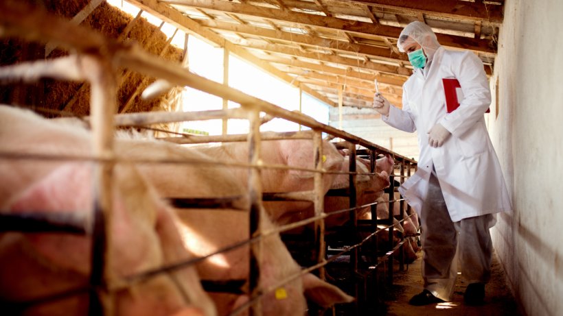 Control sanitario granjas