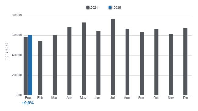 Gráfico 1: Producción mensual de carne de cerdo en 2024 y enero de 2025, variación anual. Elaborado por el Departamento de Economía y Sostenibilidad de 333 Latinoamérica con datos de la Secretaría de Agricultura, Ganadería y Pesca del Ministerio de Economía de Argentina