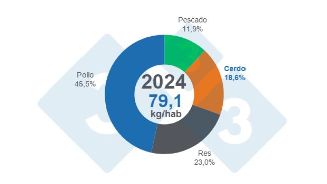 Gráfico 1: Participación del consumo de proteínas animales (res, cerdo, pollo y pescado) en el total de 2024. 
Elaboración y cálculos: Departamento de Economía y Sostenibilidad de 333 Latinoamérica con datos de Fenavi, Fedegan, Porkcolombia y Fedeacua.