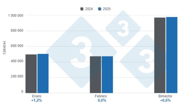 Gráfico 1: Beneficio de porcinos en el primer bimestre de 2025, variaciones anuales 
Elaborado por el Departamento de Economía y Sostenibilidad de 333 Latinoamérica con datos del DANE.