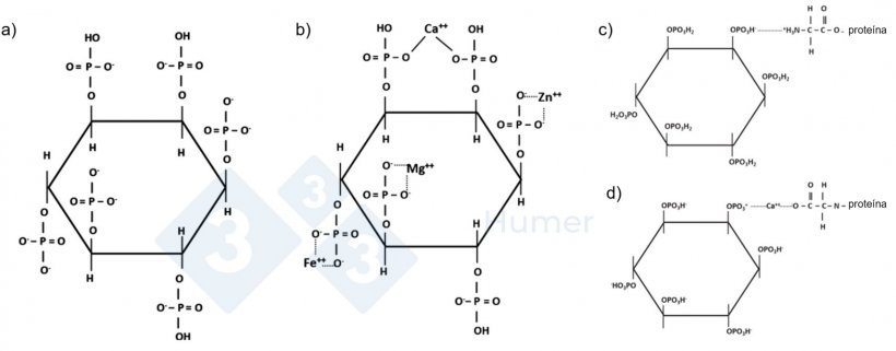 Figura 1. Estructura del ácido fítico a pH neutro (a); estructura del ácido fítico quelado a pH neutro con cationes (b); estructura del ácido fítico quelado con proteínas a pH ácido (c) y neutro (d). Adaptado de Humer et al. (2014).