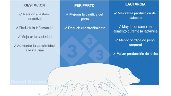 Figura 1. Efectos de la fibra como intervención nutricional en dietas de cerdas.