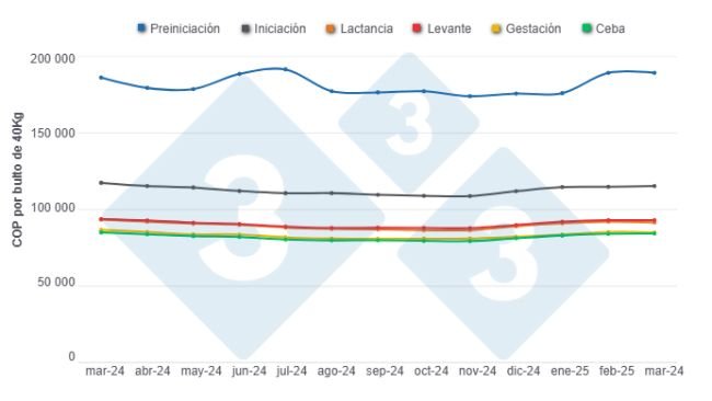Gráfico 1: Evolución de los precios promedio del alimento para cerdos por categorías en los últimos 12 meses. 
Elaborado por el Departamento de Economía y Sostenibilidad de 333 Latinoamérica con datos de SIPSA - DANE