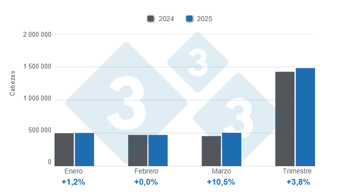 Gráfico 1: Beneficio de porcinos en el primer trimestre de 2025, variaciones anuales 

Elaborado por el Departamento de Economía y Sostenibilidad de 333 Latinoamérica con datos del DANE.