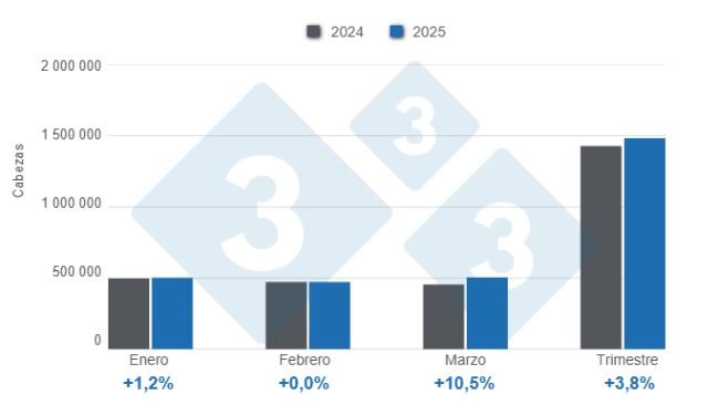 Gráfico 1: Beneficio de porcinos en el primer trimestre de 2025, variaciones anuales 
Elaborado por el Departamento de Economía y Sostenibilidad de 333 Latinoamérica con datos del DANE.