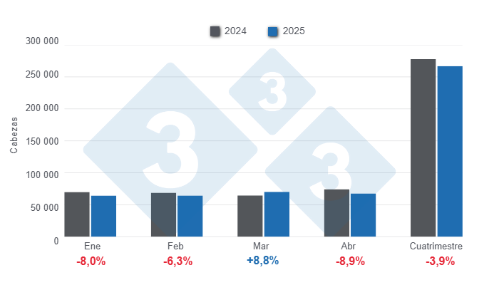 Gráfico 1: Beneficio mensual de porcinos en el primer cuatrimestre de 2025 – variaciones anuales. 

Elaborado por el Departamento de Economía y Sostenibilidad de 333 Latinoamérica con datos de CAPORC y CNP