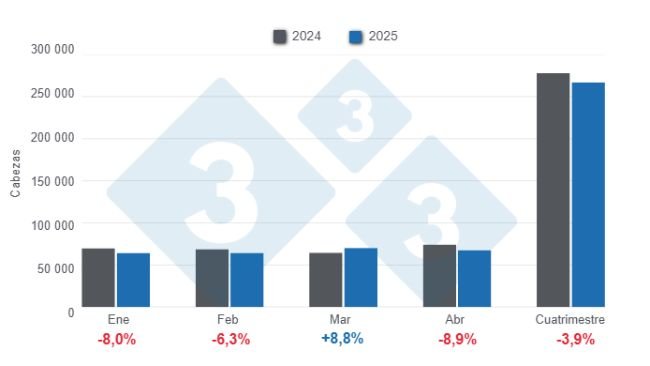Gráfico 1: Beneficio mensual de porcinos en el primer cuatrimestre de 2025 – variaciones anuales. 
Elaborado por el Departamento de Economía y Sostenibilidad de 333 Latinoamérica con datos de CAPORC y CNP
